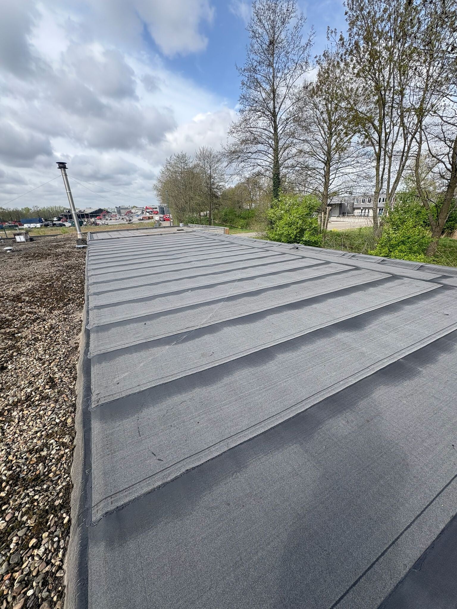 Nieuw bitumen dak met uitzicht op bomen